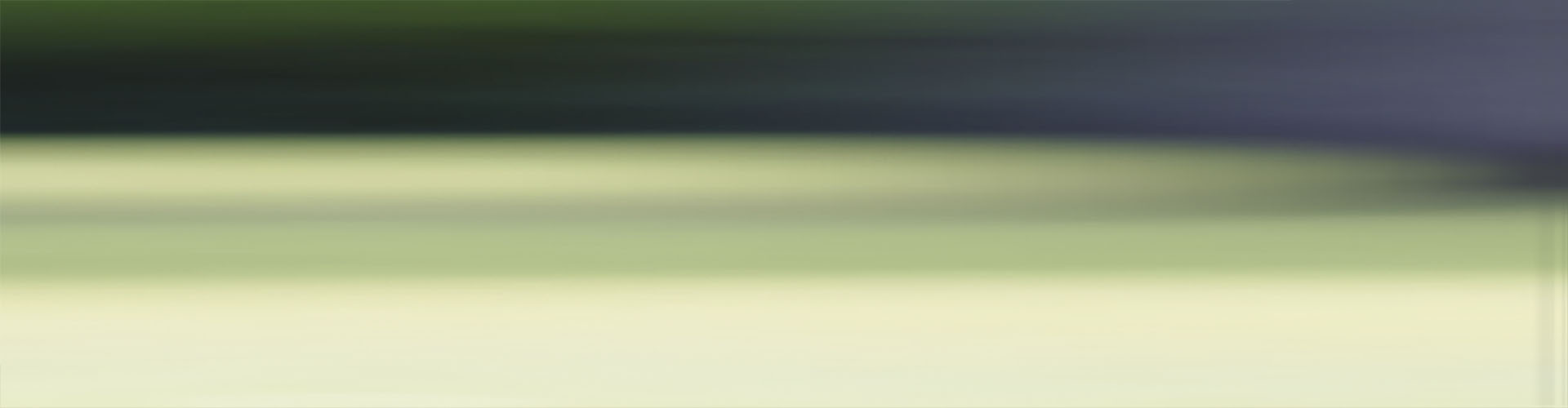 header01.jpg
